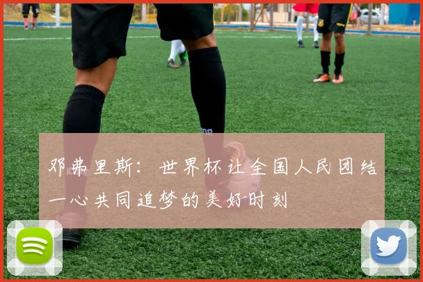 邓弗里斯：世界杯让全国人民团结一心共同追梦的美好时刻